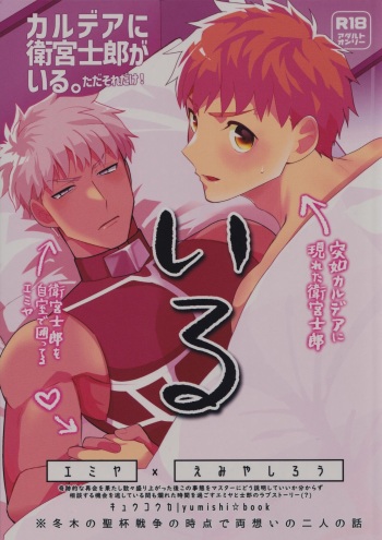 (GOOD COMIC CITY 29) [Kyuukouka (Sakamoto)] Iru (Fate/stay night) cover