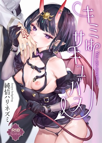 (C101) [Junjou Hedgehog (Kaguyuzu)] Kimi wa Succubus - You are succubus. | 너는 서큐버스 (Fate/Grand Order) [Korean] cover
