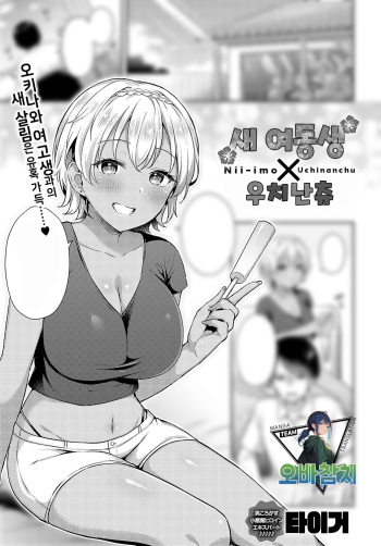 [Tiger] Nii-Imo x Uchinanchu | 새 여동생×우치난츄 (COMIC Anthurium 2024-02) [Korean] [팀 오바참치] [Digital] cover