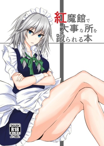 [pikuchi-ya (Piro)] Koumakan de Daiji na Tokoro o Kerareru Hon | 홍마관에서 소중한 곳을 차이는 책 (Touhou Project) [Korean]  [Digital] cover