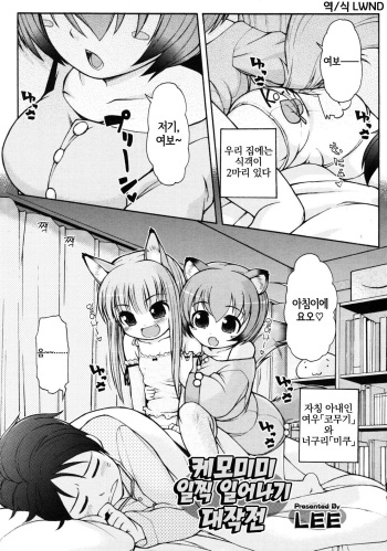 [LEE] Kemomimi Hayaoki Daisakusen | 케모미미 일찍 일어나기 대작전 (COMIC RiN 2011-08) [Korean] [LWND] cover