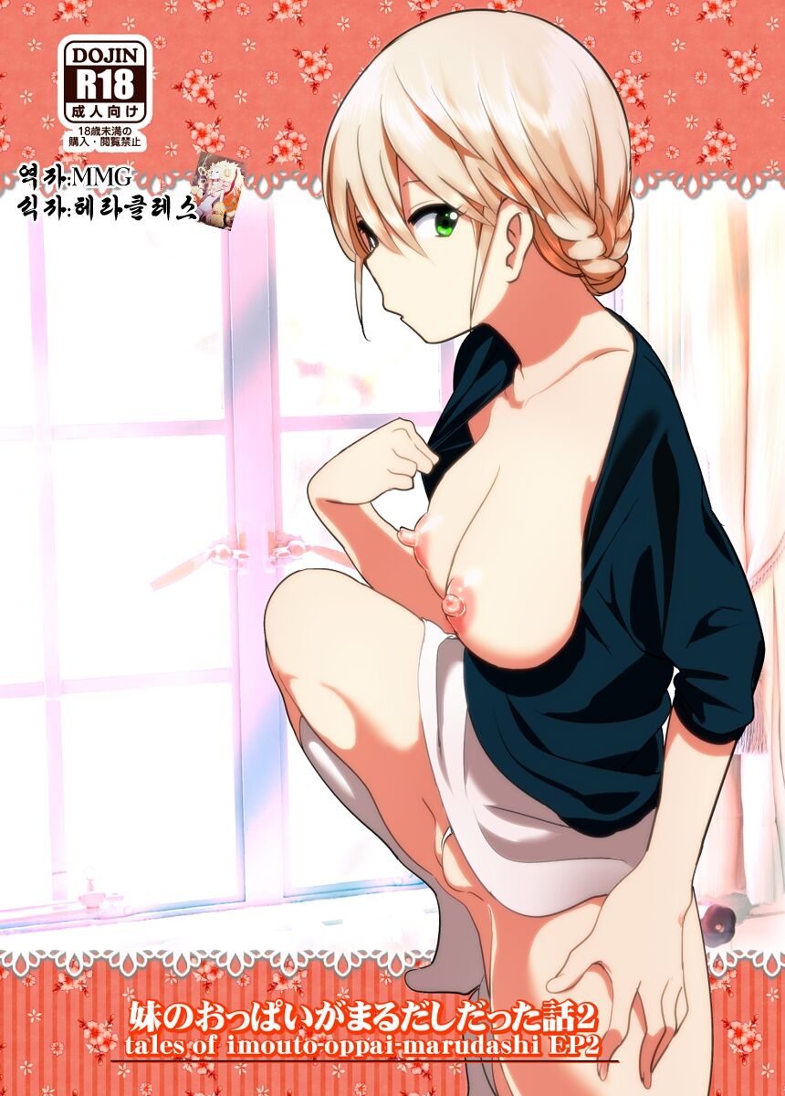 Imouto no Oppai ga Marudashi Datta Hanashi 2 page 1 full