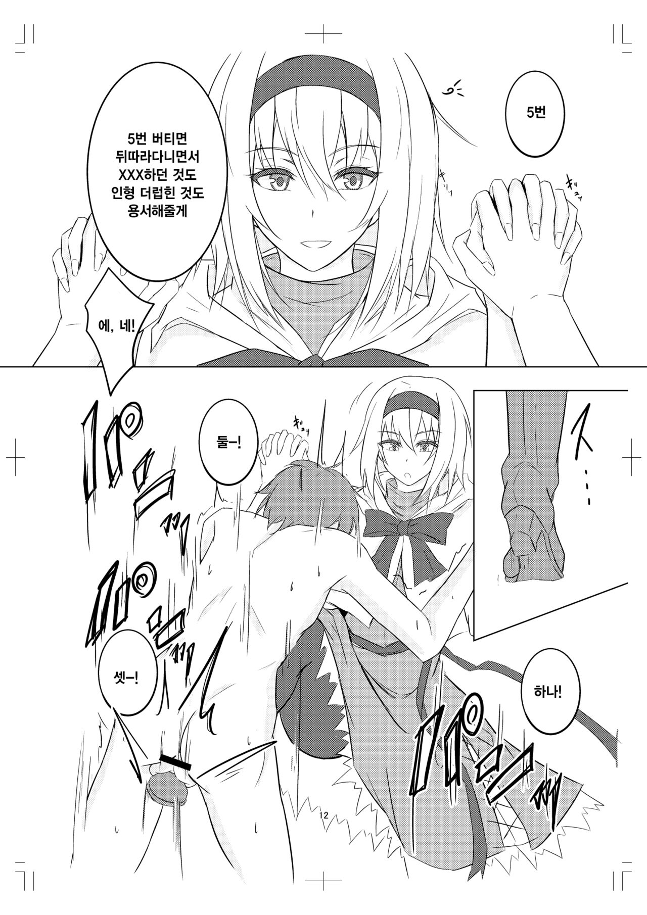 Alice Margatroid ni Daiji na Tokoro o Kerareru Hon | 앨리스에게 중요한 곳을 걷어차이는 책 page 12 full