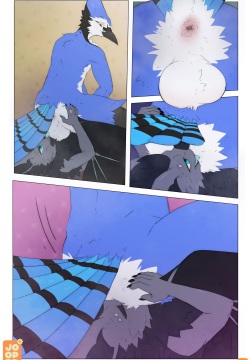 The Delights Under A Blue Jay