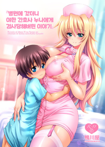 [Kamogawaya (Kamogawa Tanuki)] Byouin ni Ittara Ecchi na Nurse no Onee-san ni Kensa sarechatta Hanashi [Korean] [Digital] cover