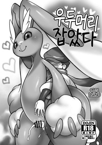 [Mayoineko (Various)] Oyabun Tsukamaeta (Pokémon) [Korean] [LWND] cover