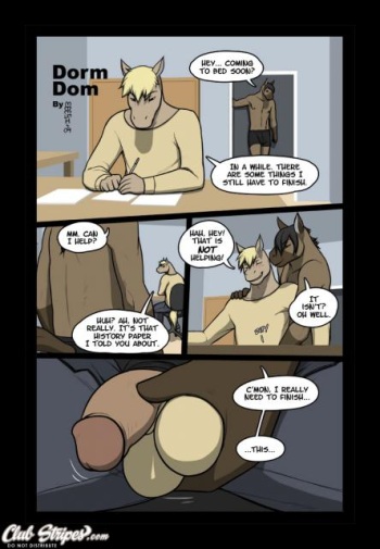 Dorm Dom - Meesh cover