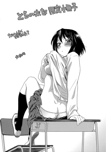 [Yamatogawa] Taihen Yoku Dekimashita? Toranoana Gentei Shousasshi cover