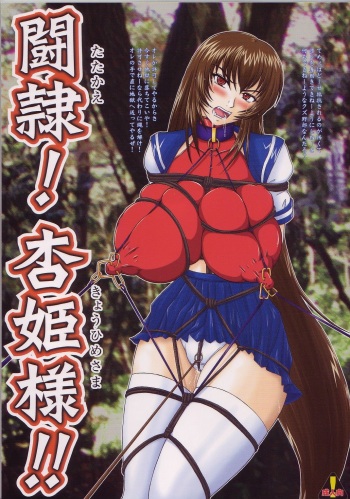 (C68) [Nozarashi (Nozarashi Satoru)] Tatakae! Kyouhime-sama!! cover