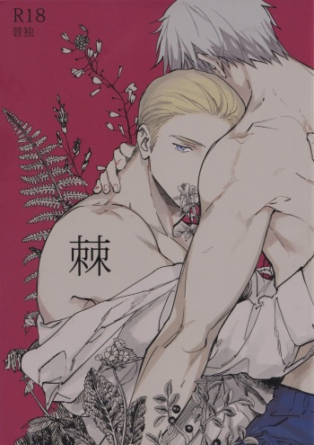 (C91) [Rootpia (CoQ10)] Toge (Axis Powers Hetalia) cover