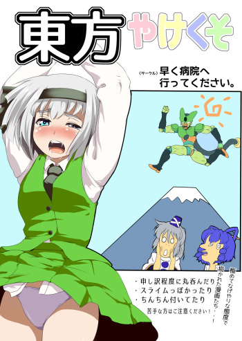 [Hayaku Byouin e Itte Kudasai. (Byoin)] Touhou Yakekuso (Touhou Project) [Digital] cover