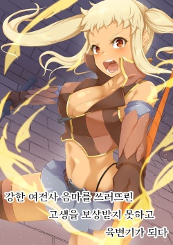 Tsuyoi Onna Senshi, Inma o Taoshita Kurou ga Mukuwarezu Nikubenki ni Naru