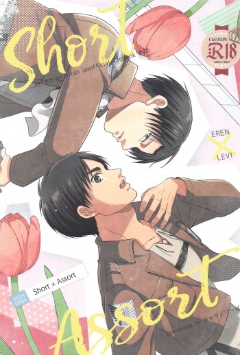 (Chou Hekigai Chousa Haku 2023 Natsu) [Carameliser (Kogata)] Short x Assort (Shingeki no Kyojin) cover