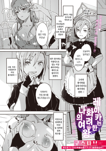 [Gustav] Reika wa Karei na Boku no Joou Ch. 7 | 레이카는 화려한 나의 여왕 제7화 (COMIC Megastore Vol. 8) [Korean] [팀 오바참치] cover