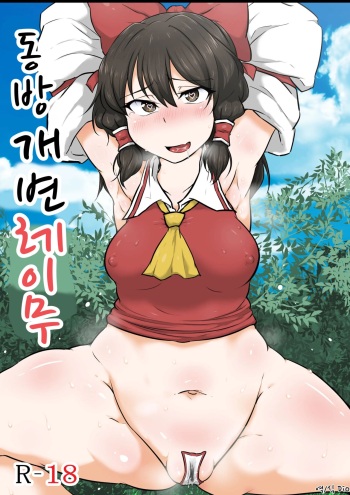 [Semakute Kurai (Kyouan)] Touhou Kaihen Reimu | 동방 개변 레이무 (Touhou Project) [Korean] [Dio] cover