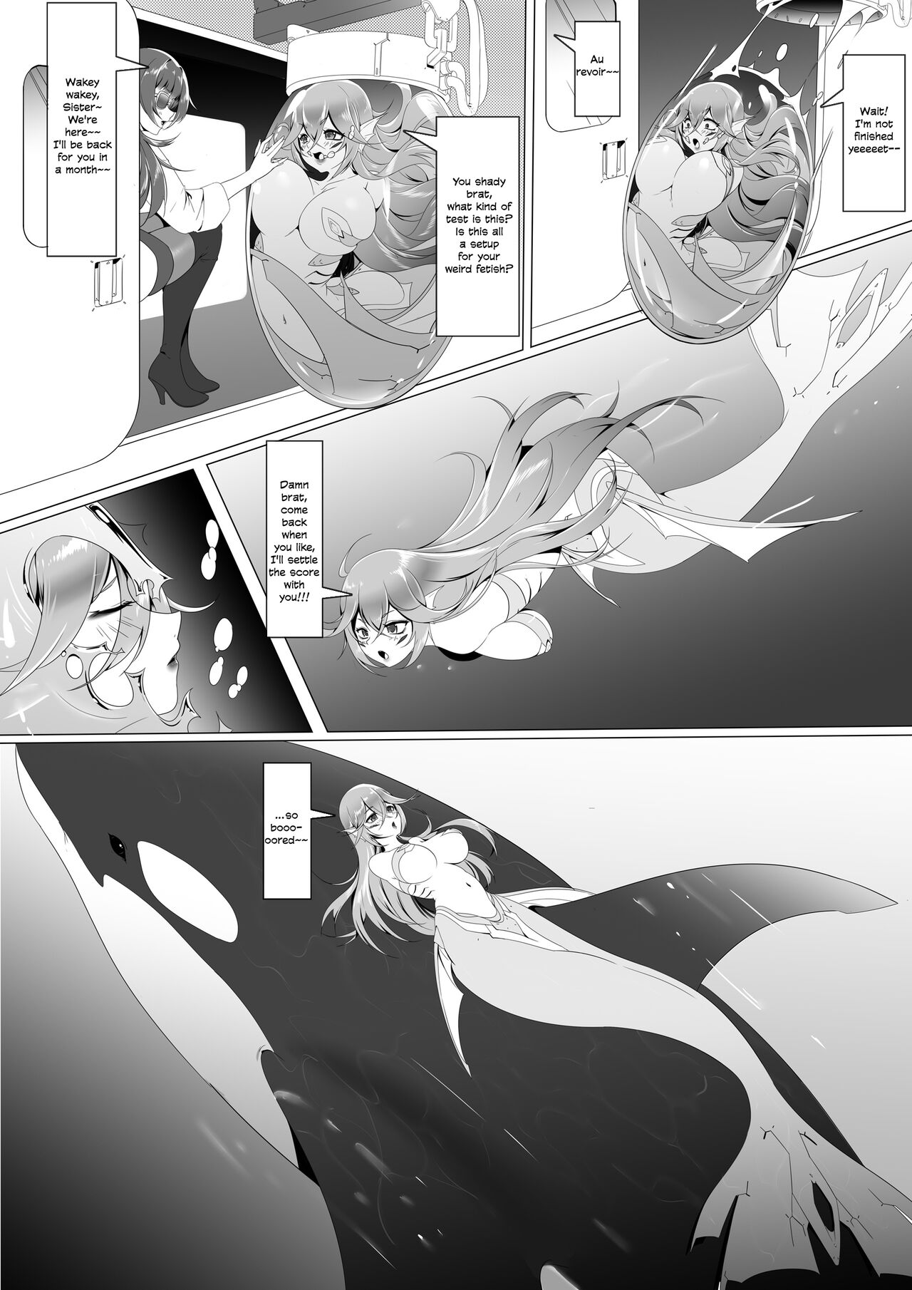 Special Equipment page 7 full