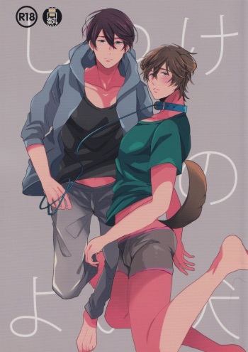 (CCOsaka100) [Kounetsu (Soyane)] Shitsuke no Yoi Inu (Free!) cover