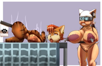 ARTIST dumbbune cover