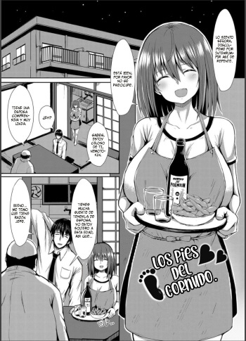 [Teterun] Netori Ashidori [Spanish] cover
