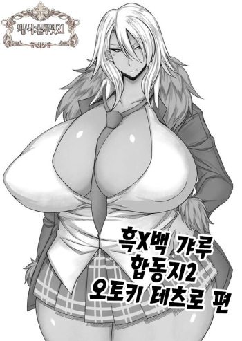(C87) [Nukoya (Various)] Kuro x Shiro Gal Goudoushi 2 - Otogi Tetusrou Hen | 흑x백 갸루 합동지 - 오토기 테츠로 편 [Korean] [실루엣21] cover