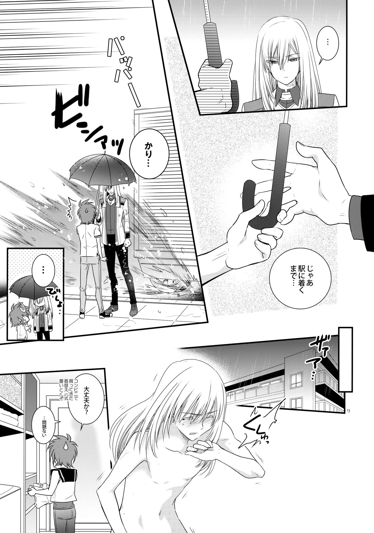濡れ羽根の天蓋と迷い猫 page 12 full