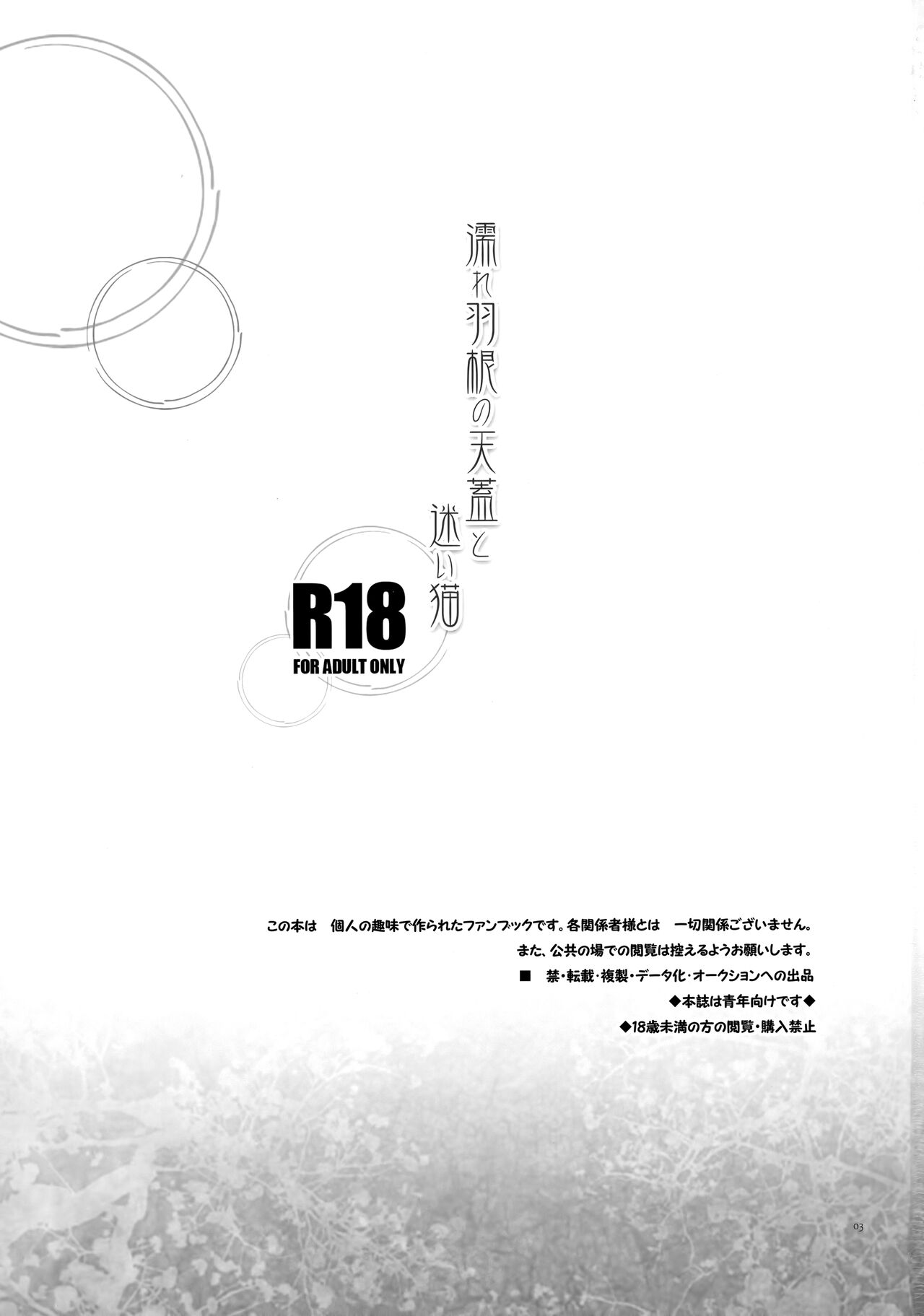 濡れ羽根の天蓋と迷い猫 page 2 full