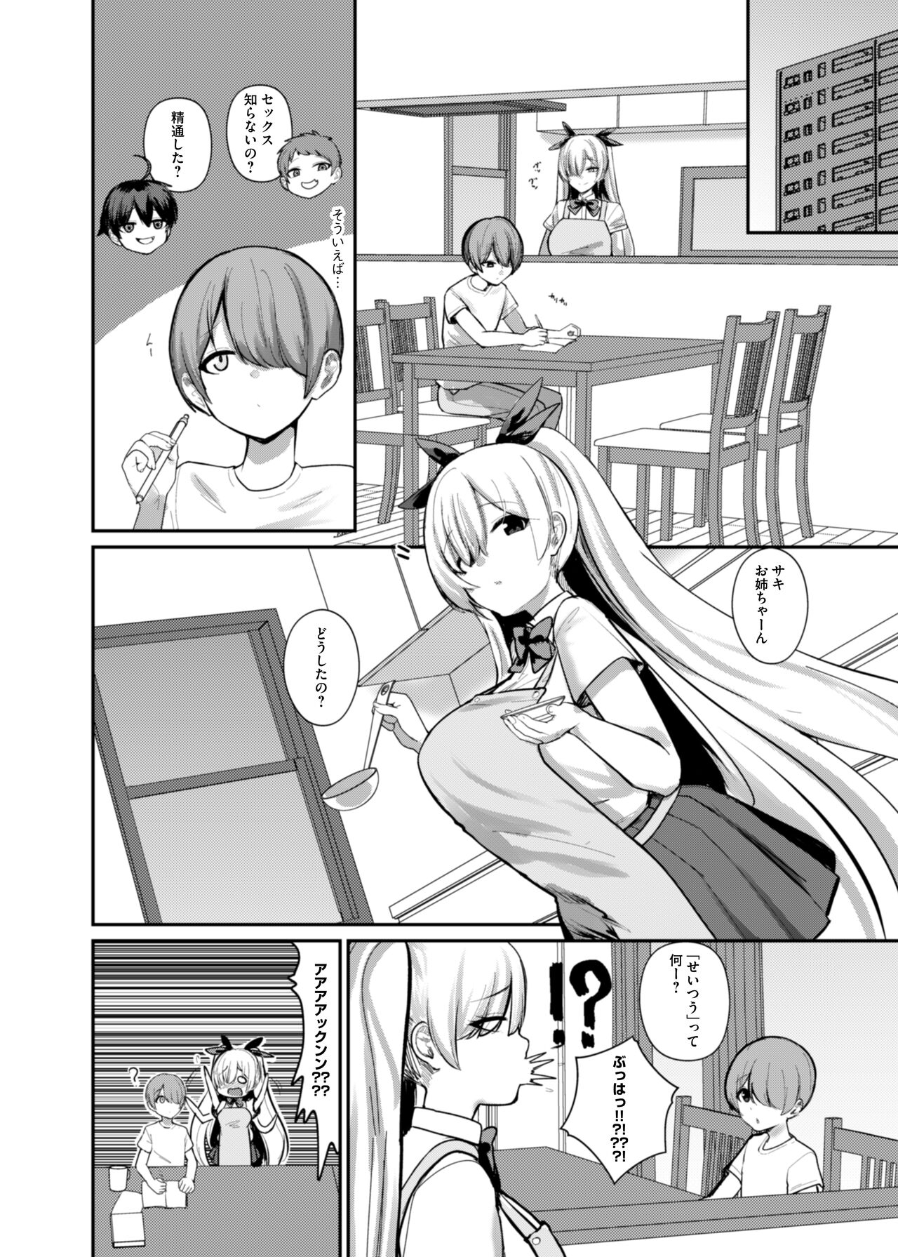 サキュバスと僕〜お姉ちゃんといっしょにオトナのお勉強しよ？〜 page 11 full