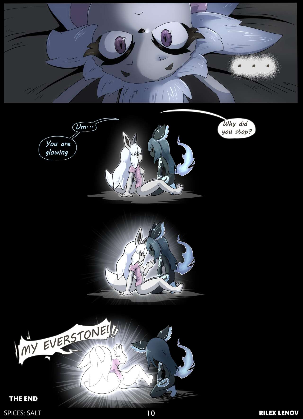 Spices Salt page 11 full