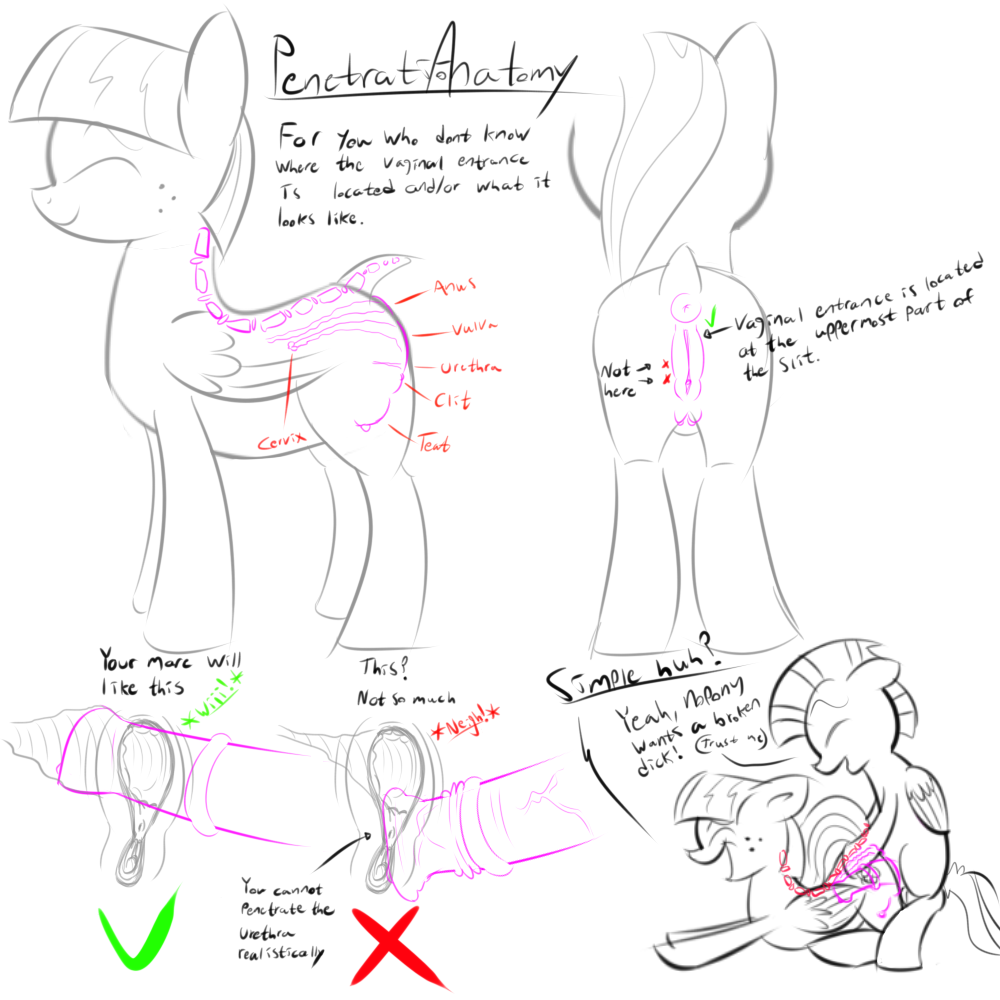 How To Draw Ponies page 9 full