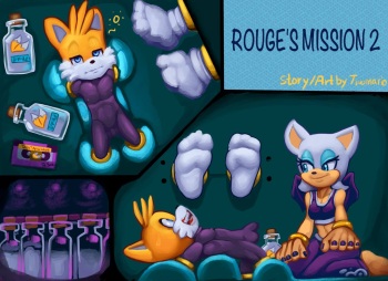[Twomario] Rouge's Mission 2 cover