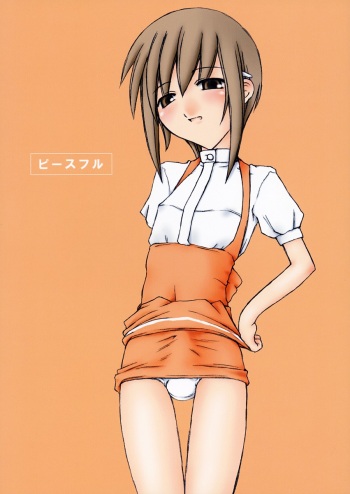 (C63) [Sasaduka (Riuichi)] Peaceful cover