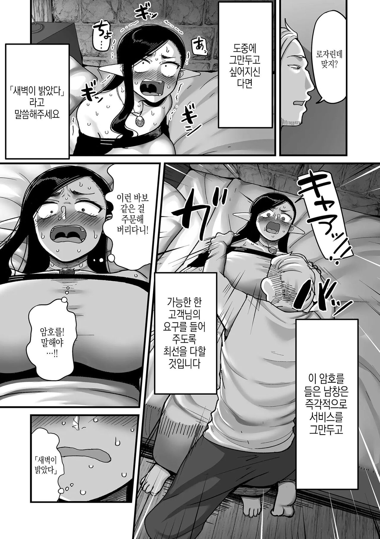 Genkai Jukujo Elf! Danshou Delivery Service!! Maki 1 no 2 Hakubo no Rosalinde | 엘프전용 남창딜리버리 서비스 2편 황혼의 로잘린데 page 11 full