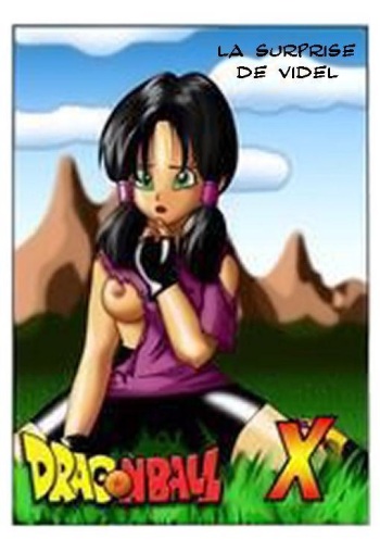DBZ La surprise de Videl (françai) cover