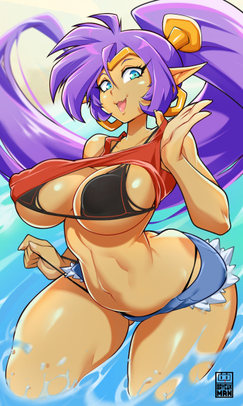 [Bayeuxman] Shantae (Shantae) cover