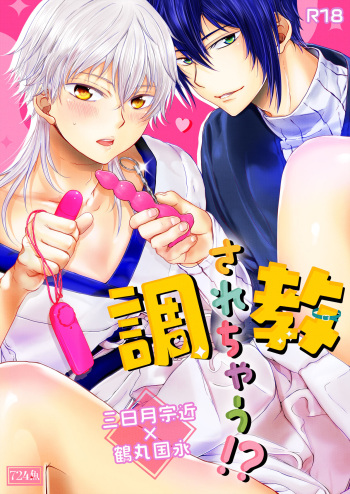 [724魚 (なな西坂奈)] 調教されちゃう！？ (刀剣乱舞) cover