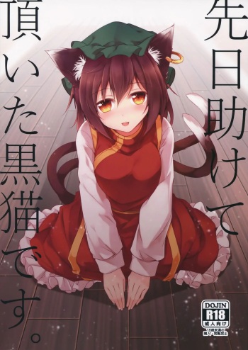 (Yakumo no Himitsu Kichi) [Midorineko (Midori)] Senjitsu Tasukete Itadaita Kuroneko desu. | Я та самая чёрная кошка, которую ты спас. (Touhou Project) [Russian] [Mechen] cover
