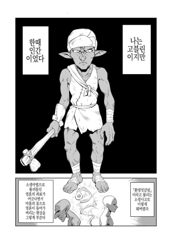 [Yamabatake] 고블린과 여기사 [Korean] cover