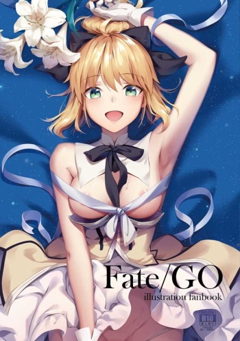 [Kuwaiya (Amahane Yarashii, Hakureishi)] Fate/GO illustration fanbook. (Fate/Grand Order) cover
