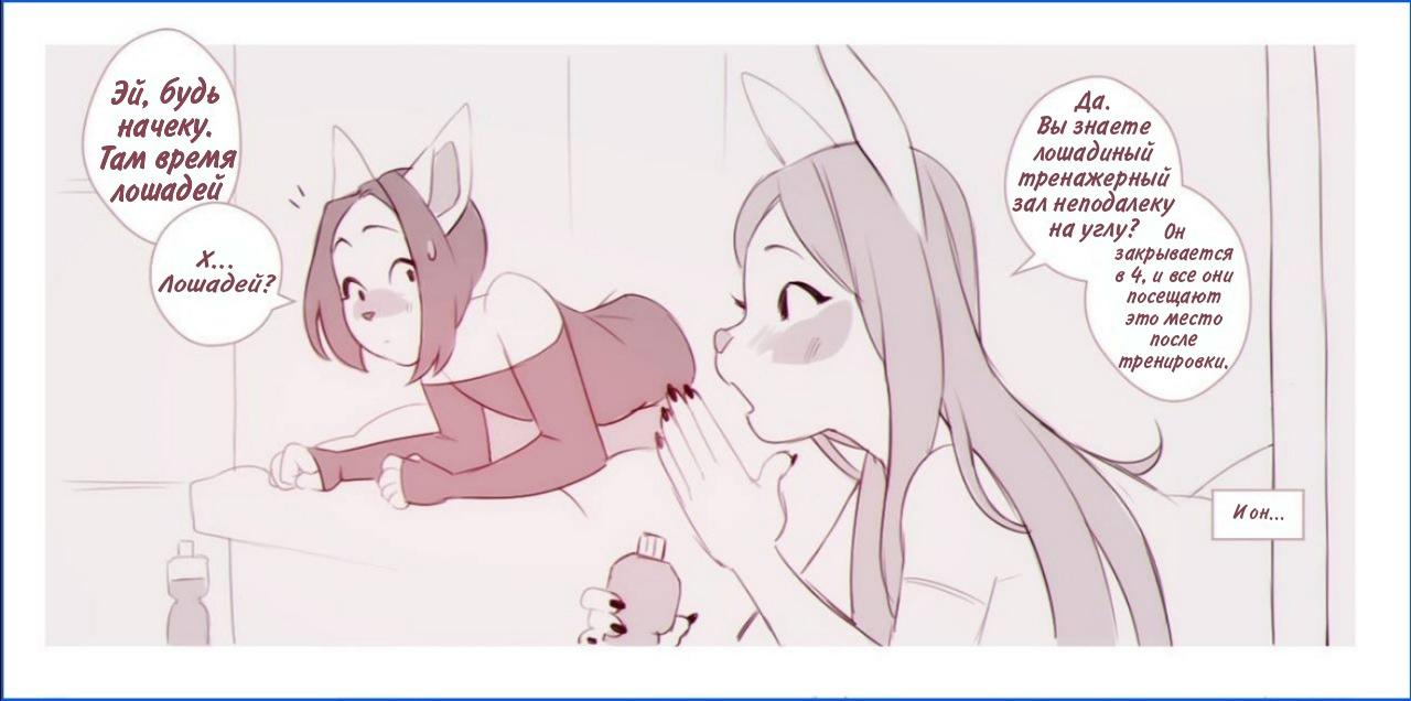 Public use page 5 full