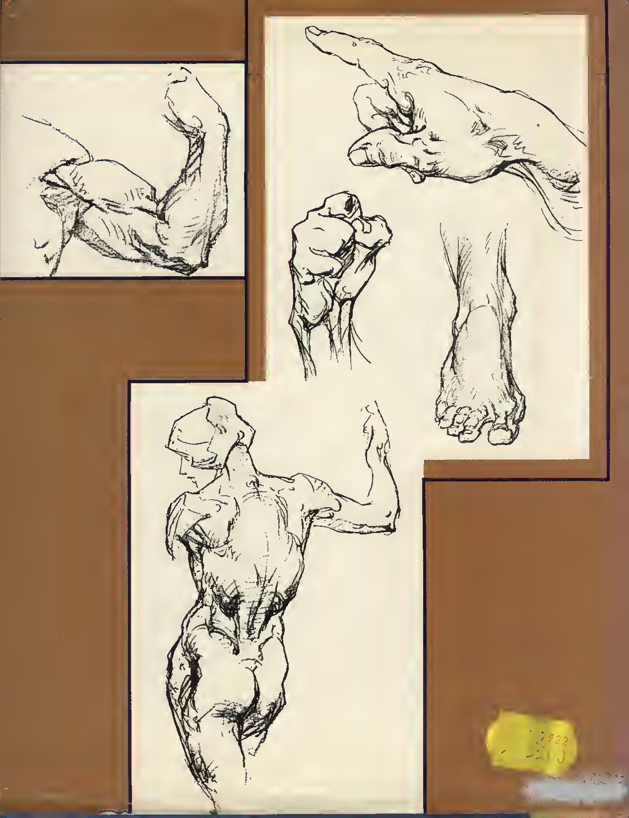 Complete Guide to Drawing from Life by bridgman page 2 full