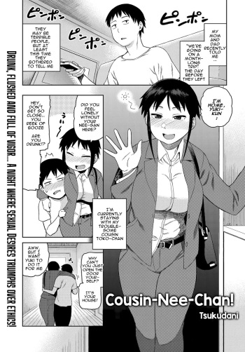 [Tsukudani] Cousin-Nee-Chan! [a dolphin][English] cover