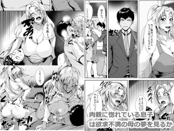 [AKYS Honpo] Nikushin ni Horeteiru Musuko wa Yokkyuu Fuman no Haha no Yume o Miru ka [English] [MrBubbles] cover
