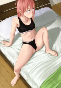 Maidragon collection