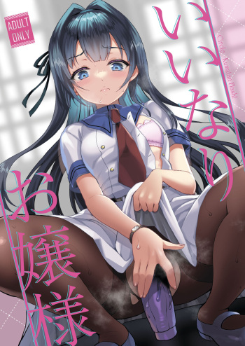 (C101) [Kuma-tan Flash! (Kumao Mofumofu)] Iinari Ojou-sama [Digital] cover