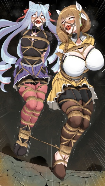 [BagelBomb] Rosado & Goldmary [Fire Emblem Engage] cover