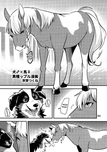 (C94) [Mayoineko(Minaga Tsukune)] Perro♂×Caballo♀ (MARE HOLIC6 ケモラヴァEX) [Spanish] cover