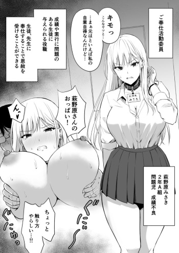 [Todoroki Kangoku] Gohoushi Katsudou Iinkai Misaki cover