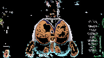 Mirko, Megurien Luka, Mercy Power Glory Hole Bondage Creampie (Hole House Game) [Chainsaw Man, My Hero Academia,Overwatch, Vocaloids] cover