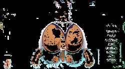 Mirko, Megurien Luka, Mercy Power Glory Hole Bondage Creampie