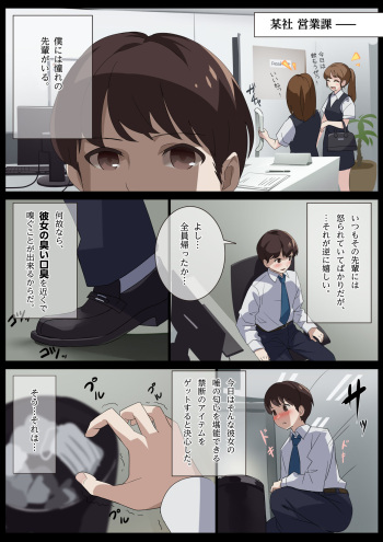 [Rusuku] Birei sama no tsuba seme cover